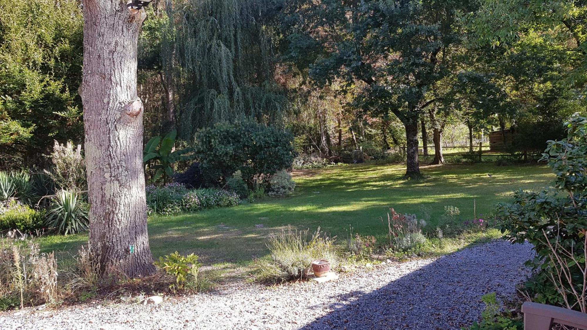 Domaine De Sahil Bed and Breakfast Saint-Romain-sur-Cher Eksteriør billede